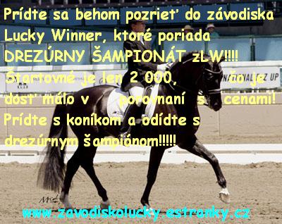 Plagat